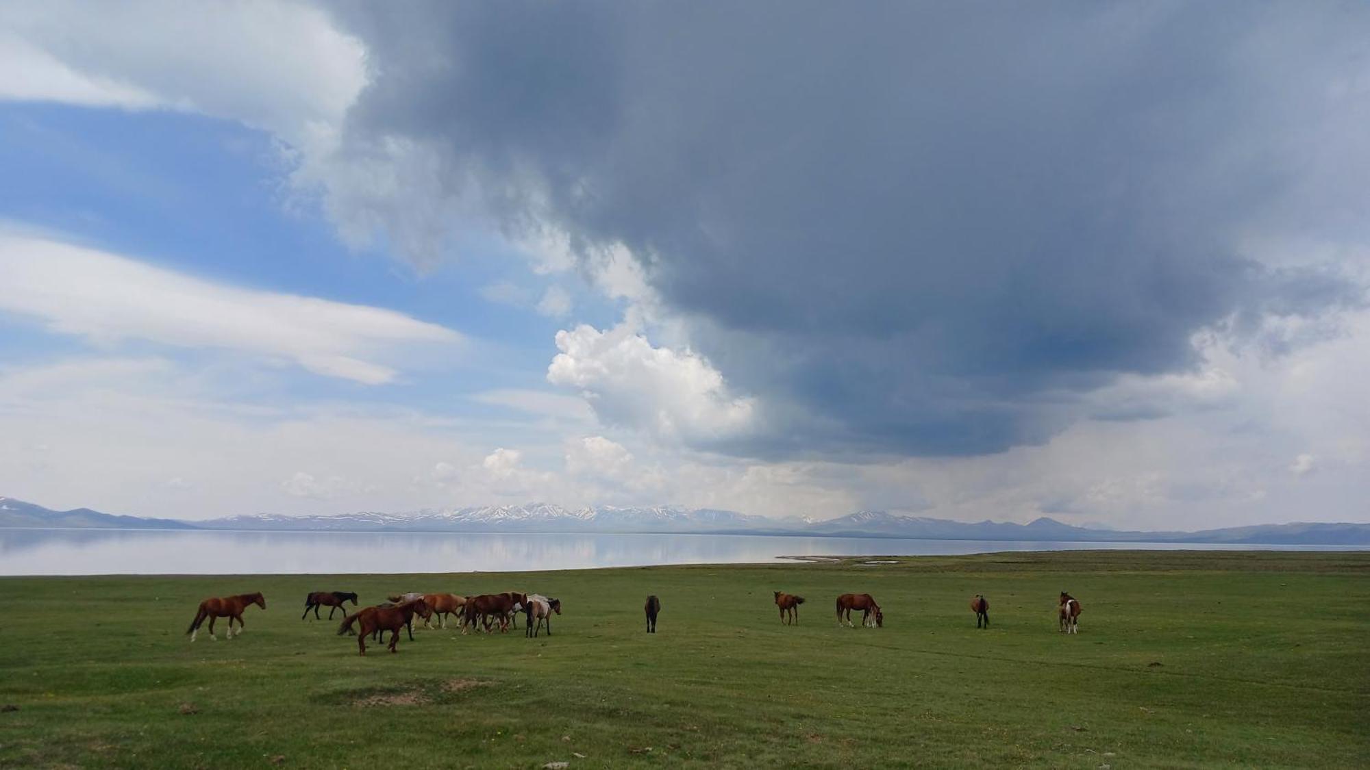 Son-Kul Lake Yurt Camp Mirbek Kochkor Exterior photo